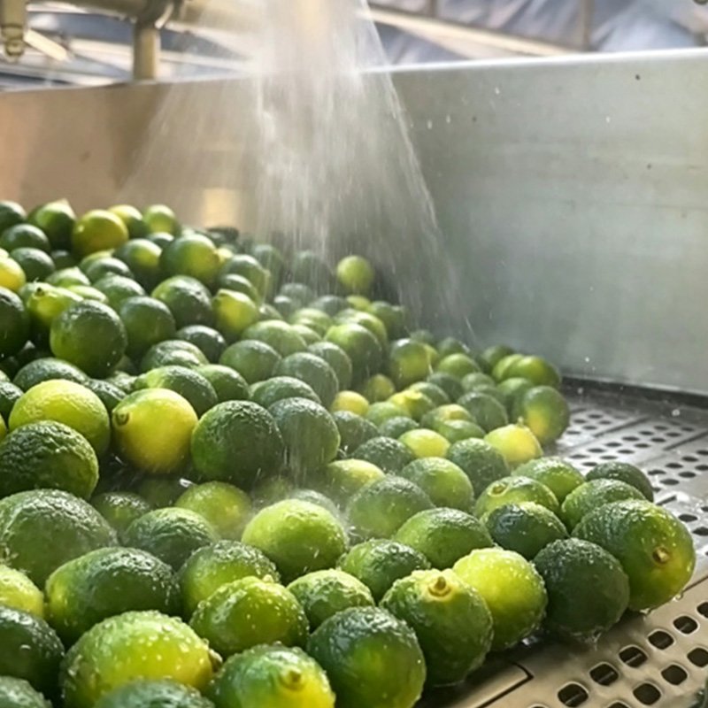 Washing, decontamination, peeling and destoning processes